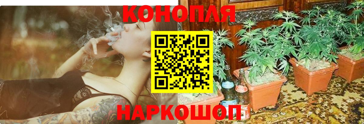 Шишки марихуана THC 21% Северобайкальск